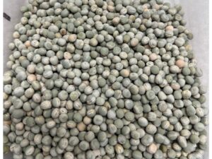Whole Green Peas