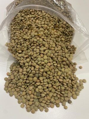 Eston Lentils