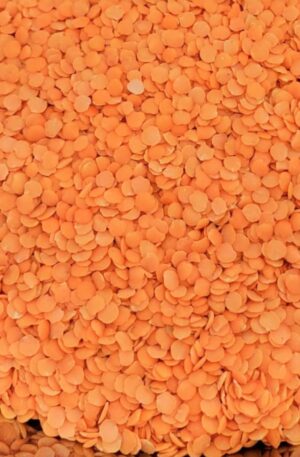 Red Split Lentils Double Polished