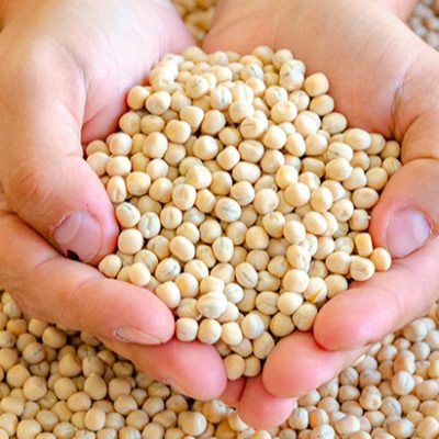 Whole Yellow peas - Canexfarm - U order V supply!