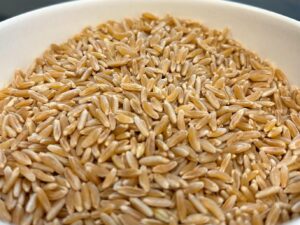 Khorasan Wheat