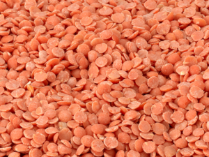 Red Split Lentils Oil Polished