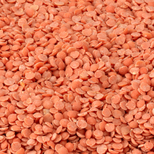 Red Split Lentils Oil Polished
